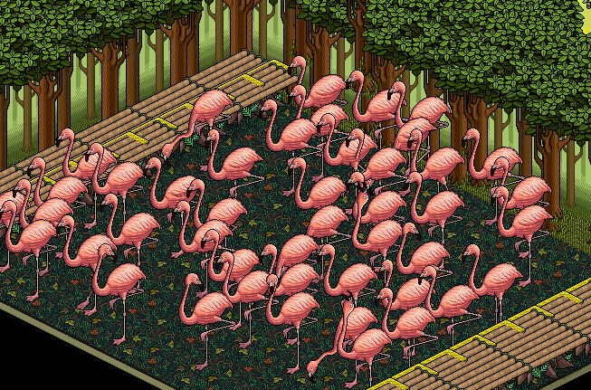 https://habboarcade.com/uploads/images/2025-10-08-43.png