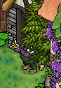 https://habboarcade.com/uploads/images/2026-02-27-19.png