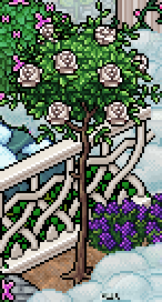 https://habboarcade.com/uploads/images/2026-04-30-14.png