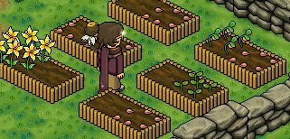 https://habboarcade.com/uploads/images/2026-06-06-44.png