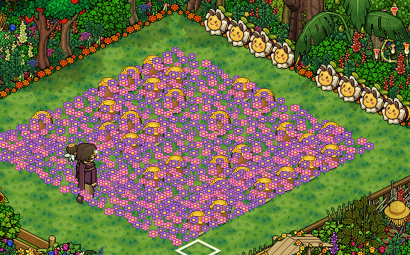 https://habboarcade.com/uploads/images/2026-06-06-48.png