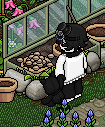 https://habboarcade.com/uploads/images/2026-06-11-13.png