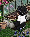 https://habboarcade.com/uploads/images/2026-06-11-14.png