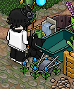 https://habboarcade.com/uploads/images/2026-06-11-15.png