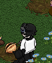 https://habboarcade.com/uploads/images/2026-06-11-16.png