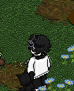 https://habboarcade.com/uploads/images/2026-06-11-17.png