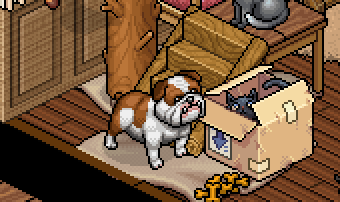 https://habboarcade.com/uploads/images/2026-07-21-32.png