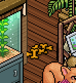 https://habboarcade.com/uploads/images/2026-07-21-33.png