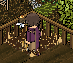 https://habboarcade.com/uploads/images/2026-07-25-16.png