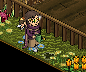 https://habboarcade.com/uploads/images/2026-07-25-27.png