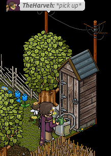 https://habboarcade.com/uploads/images/2026-07-25-31.png