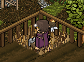 https://habboarcade.com/uploads/images/2026-07-25-35.png